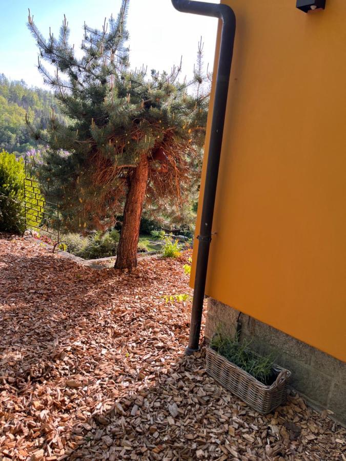 Neuwerk  Kleines Harz-Chalet מראה חיצוני תמונה