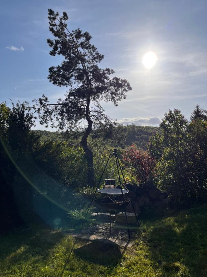 Neuwerk  Kleines Harz-Chalet מראה חיצוני תמונה